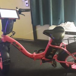 "BEACH BUM" ELECTRICAL BIKE E=BIKE;FOLDABLE