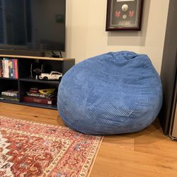 Bean Bag Chair