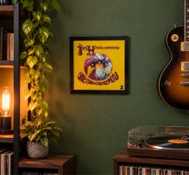 Jimi Hendrix Experience Framed Art