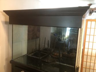 110gallon Fish Tank And 30gallon Sump