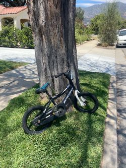 Free kids bike