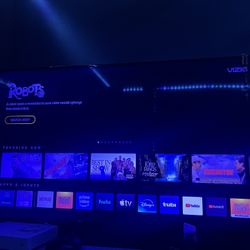 Vizio 65 inch tv (read description)