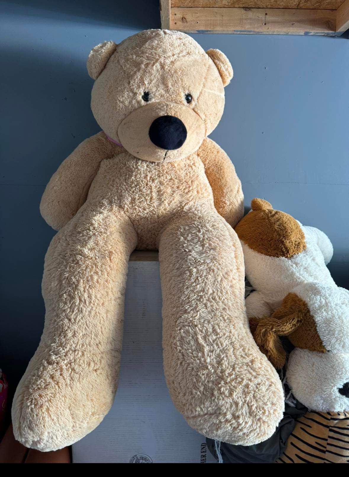 Teddy bear 4ft 