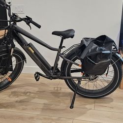 Radrover 6 Plus High step electric bicycle (eBike)
