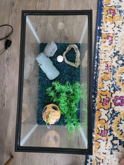 Aquarium Tank
