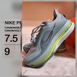 Nike Pegasus Premium size 7.5