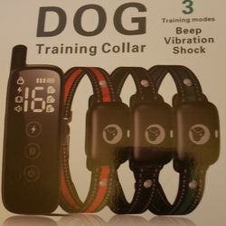 Dog Training Collar