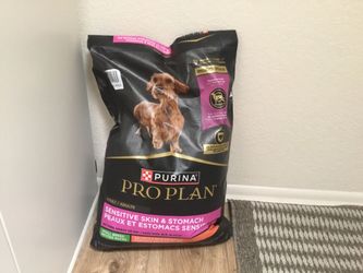 Dog food
