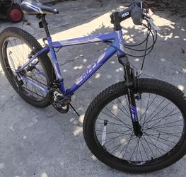 Adults  bike