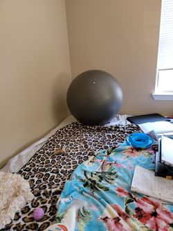 Large Exercise Ball