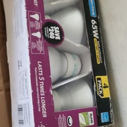 Light Bulbs 