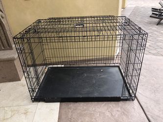 Kong- xlarge dog crate