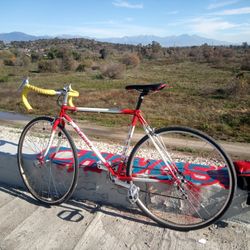 Nishiki road bike for sale hot sale