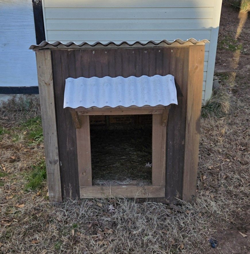 Dog House