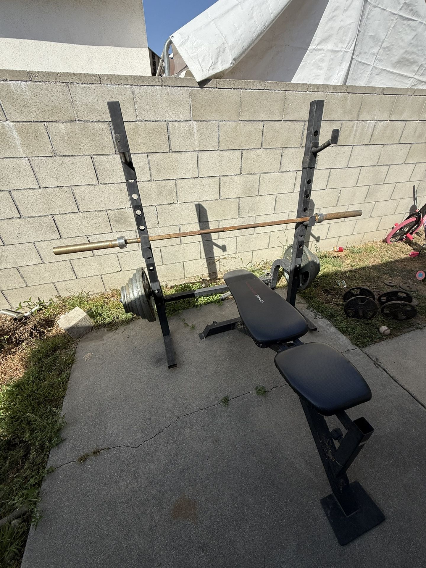 Bench with weights And Dumbbells