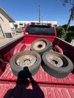 Bobcat solid tires