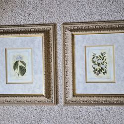 Set of 2 Vintage Framed Floral Wall Art