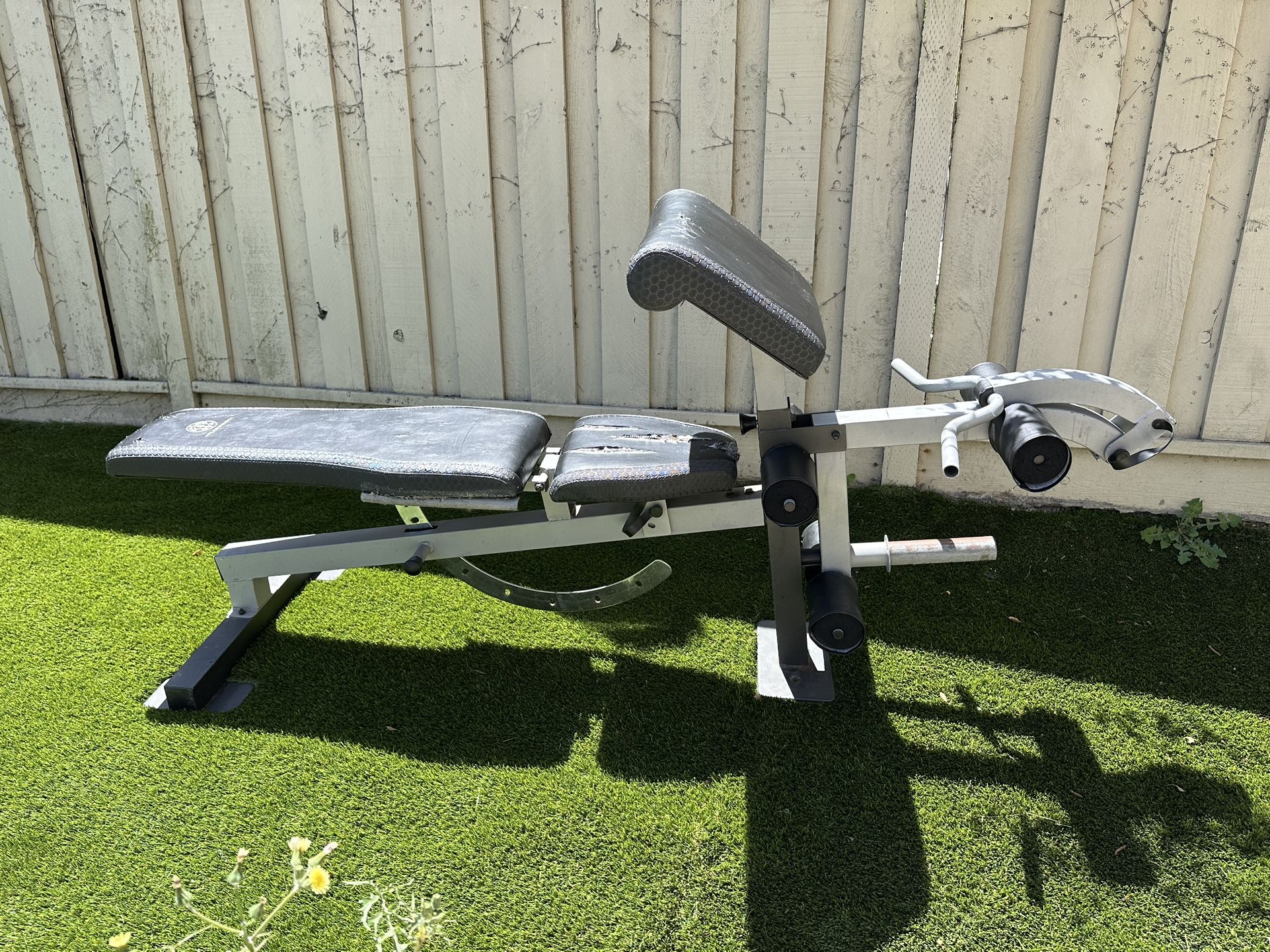 Weight Bench