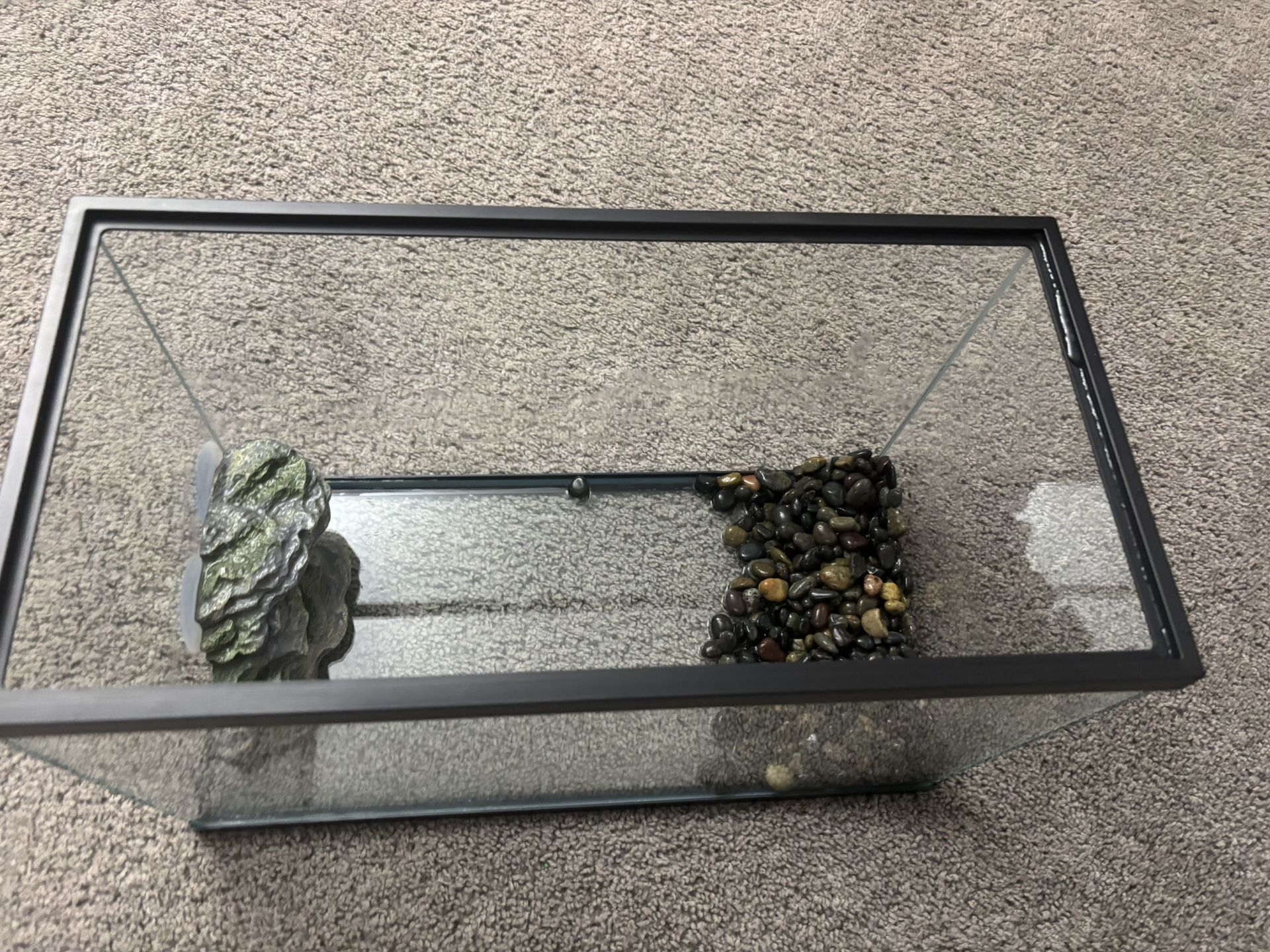Aquarium Accessories