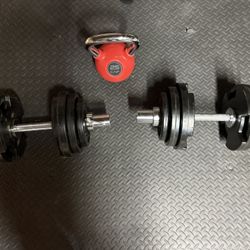 Olympic Dumbbells With Weights Plates And Kettlebell 