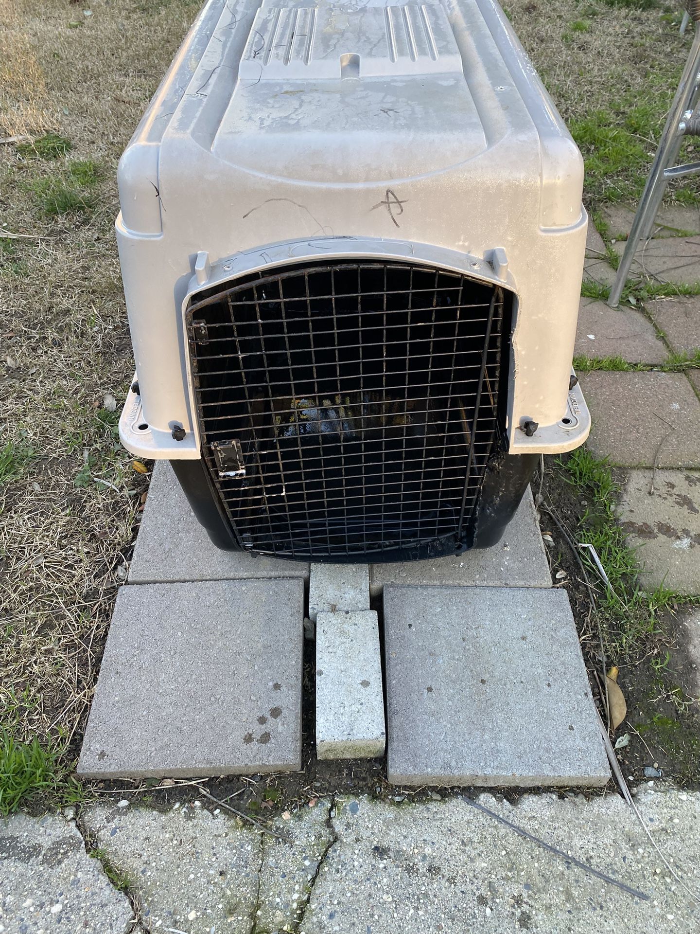 Big Dog Kennels