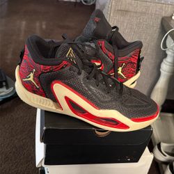 Jordan Jason Tatum 1 Zoo 