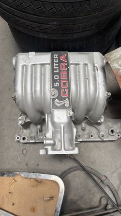 5.0 cobra manifold