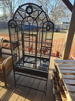 Bird Cage