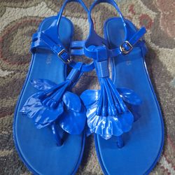 Melissa Salinas Blue Flower Jelly Sandals, 7