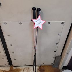 Urban Poling Walking Poles