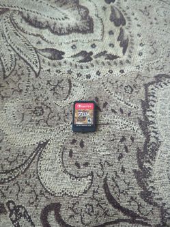 The Legend of Zelda:  Breath of the wild