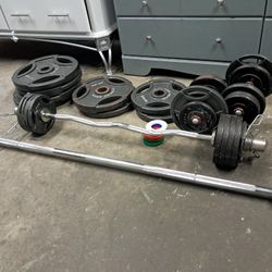 435 lbs Freeweight Plates with Olympic Bar and Dumbells