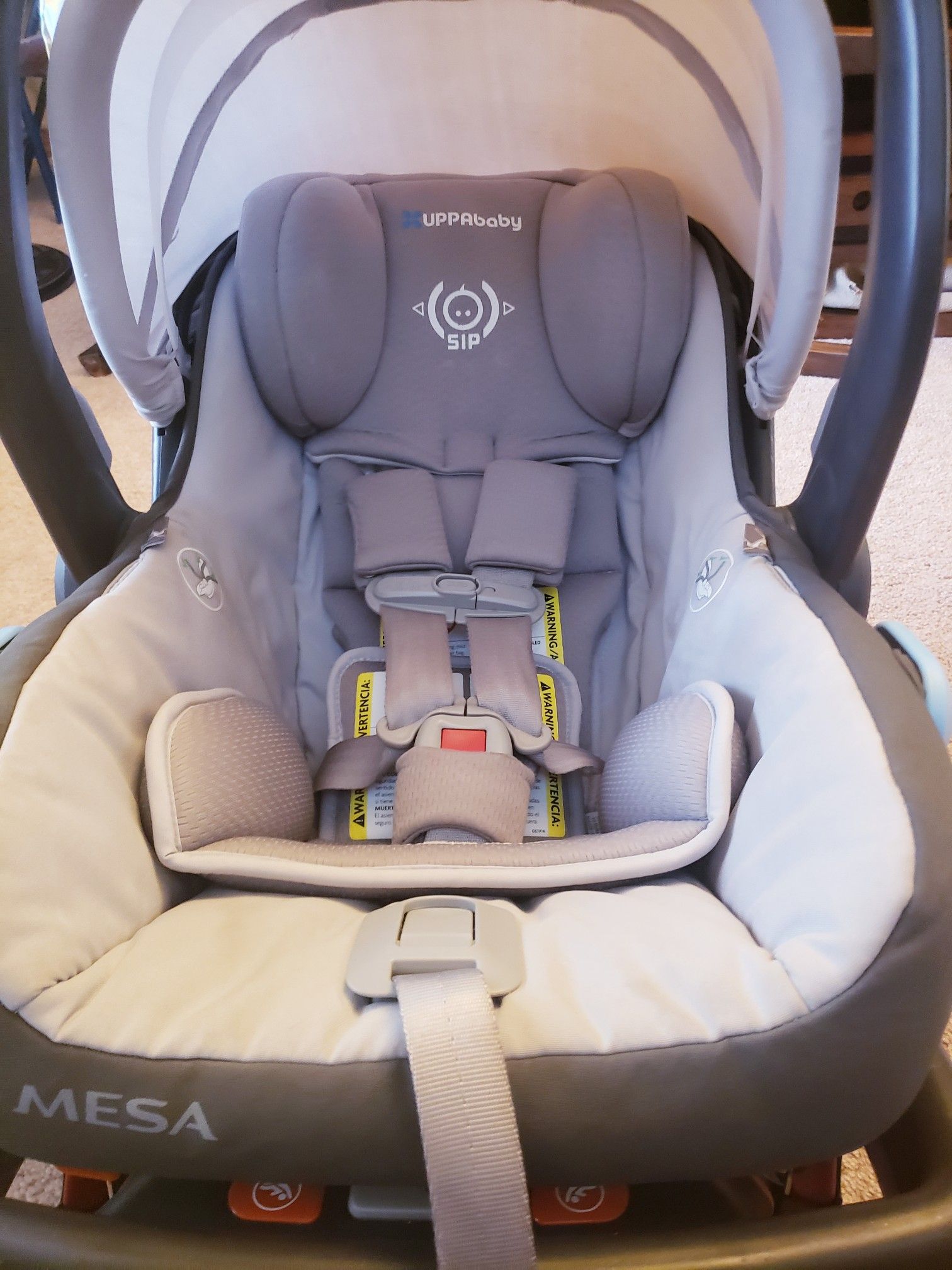 UPPAbaby Mesa Infant car seat