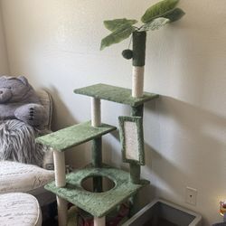 cat tree!