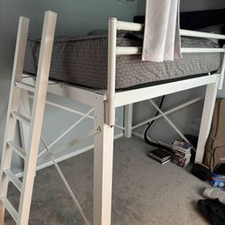 Queen Size Adult Loft Bed