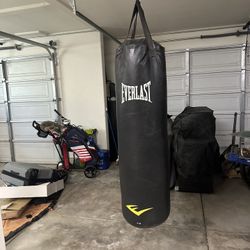 Everlast Boxing Bag
