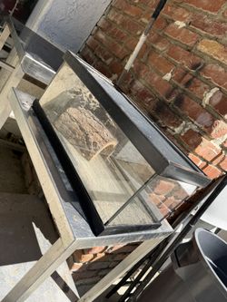 Medium Pet Container Glass Terrarium