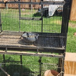 Double Bird Cage