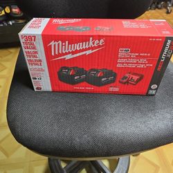 Milwakee Battery Pack