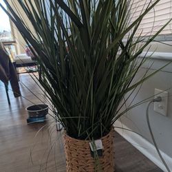 Artificial House Plants