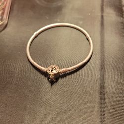 Pandora Park Exclusive 