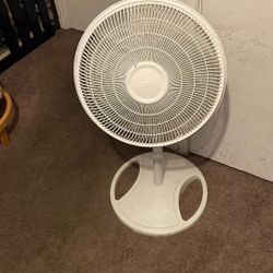 White fan