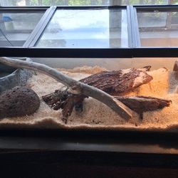Large Reptile Tank Every Thing Included
