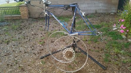 Bianchi frame and parts