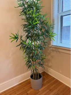 Fake Plant with pot