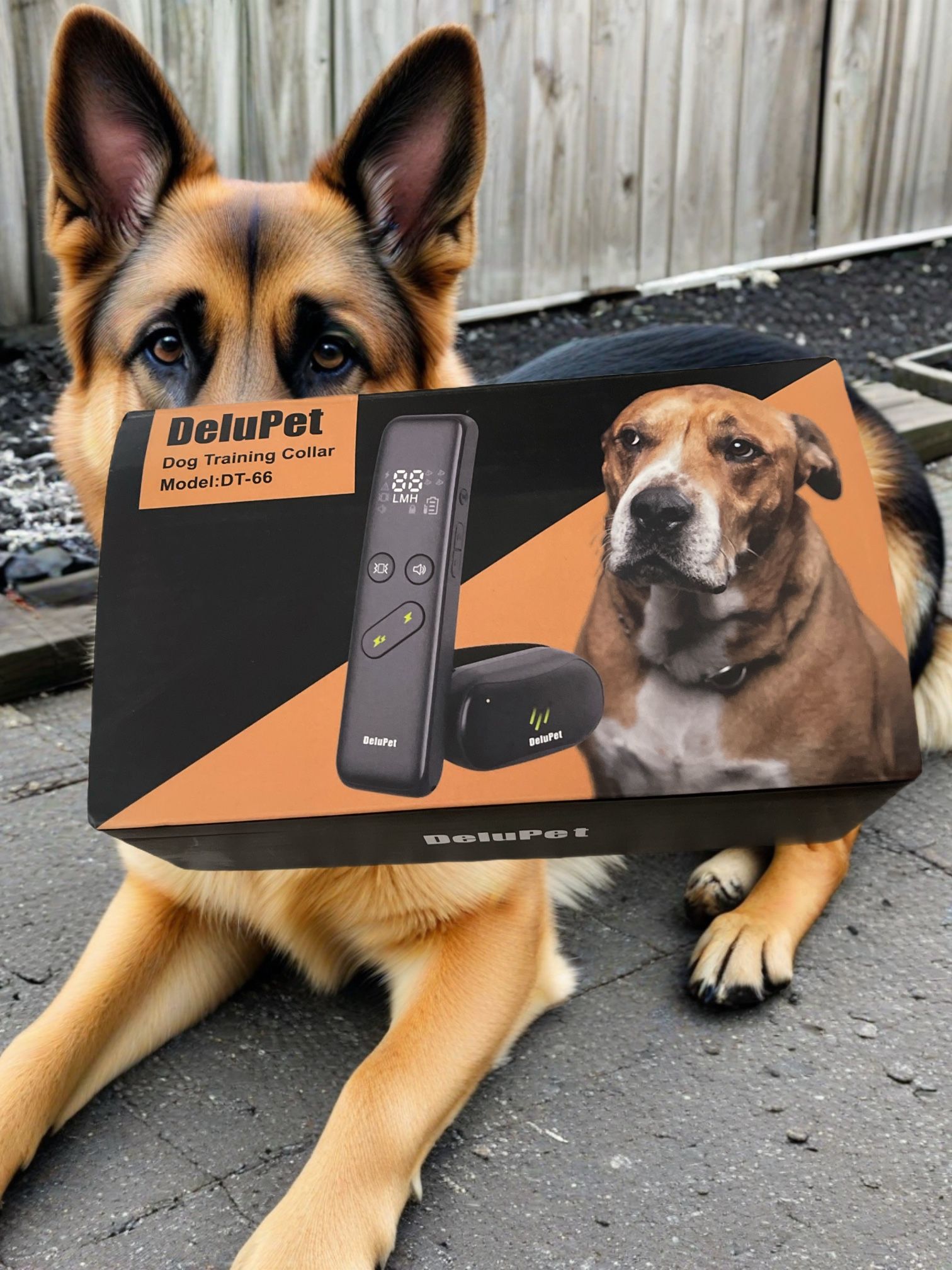 Dog Training collar