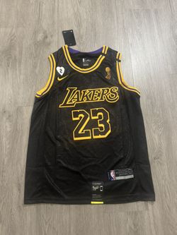 2020 LeBron James Mamba 