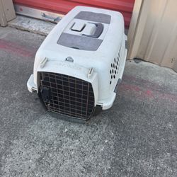 Kennel