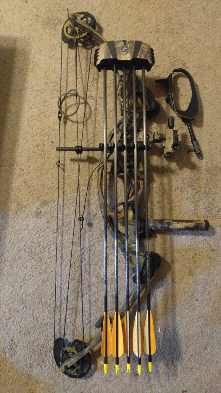 Hoyt zr100