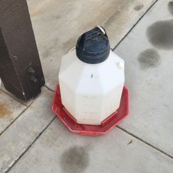 Chicken Water Dispenser